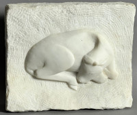 Kalb liegend